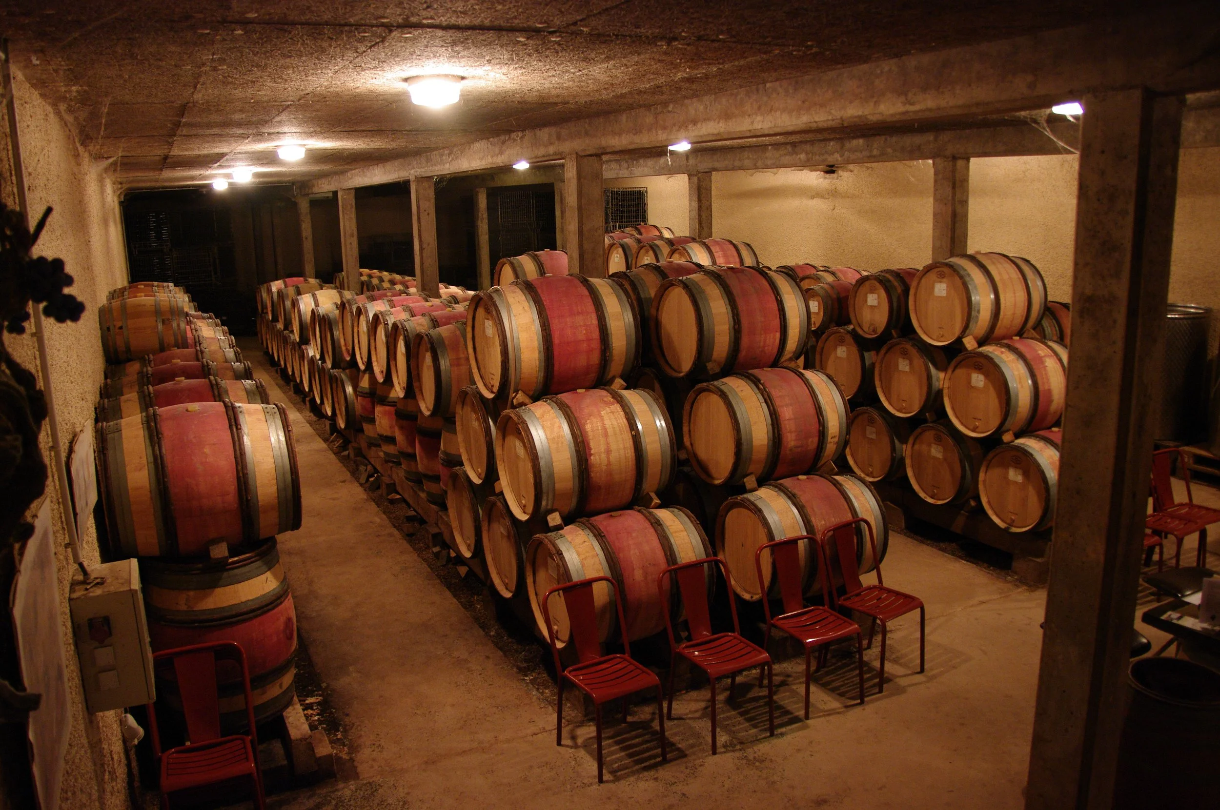 DomaineCornu -1-(2).JPG