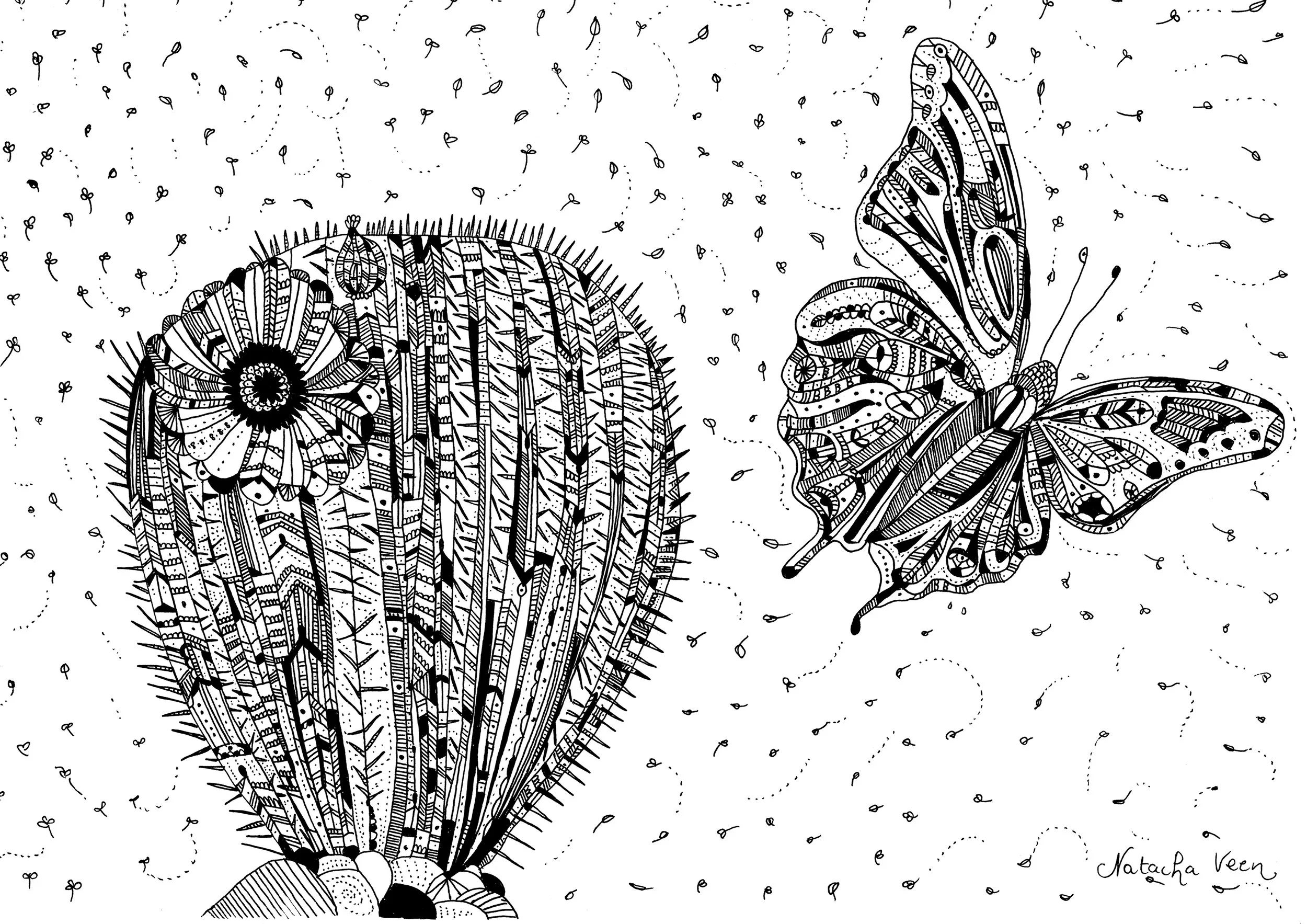 butterfly_natachaveen.jpg