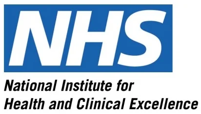 nice20logo_0.jpg