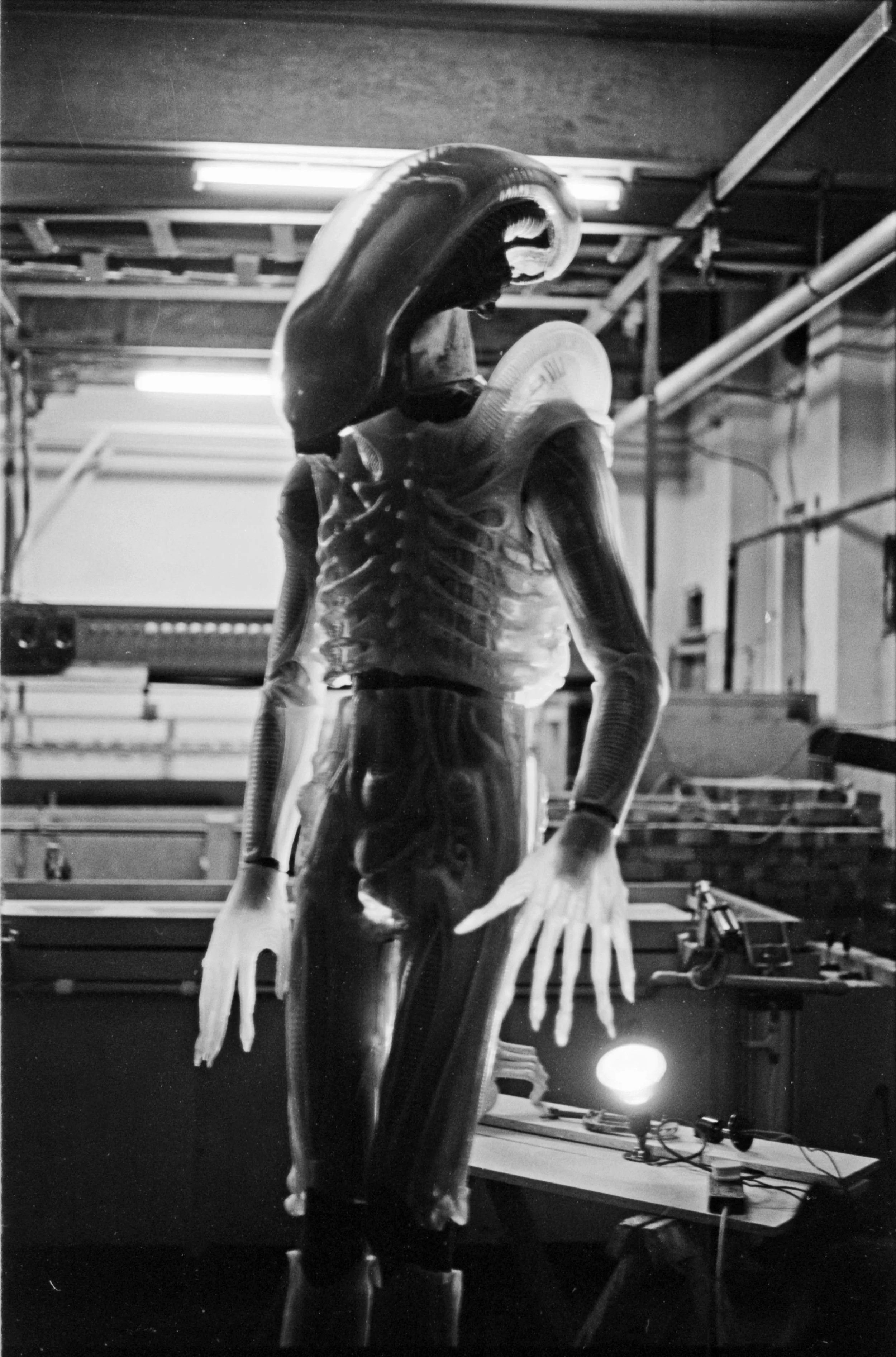 Alien Translucent body .jpg