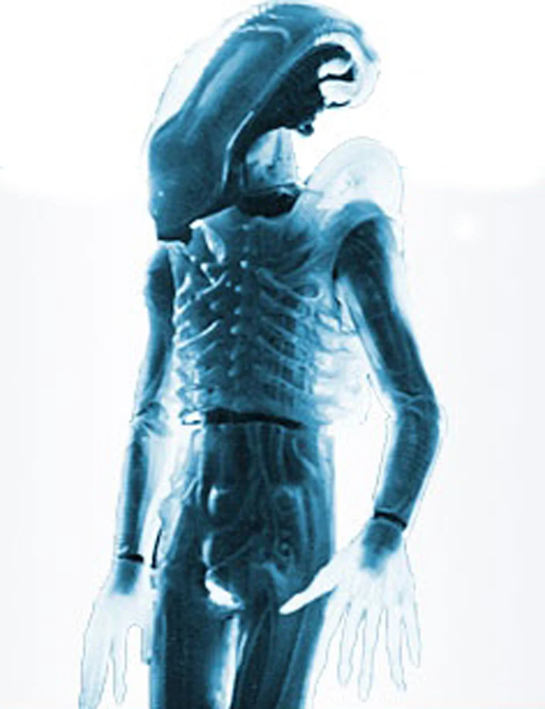 Alien-transluscent.jpg