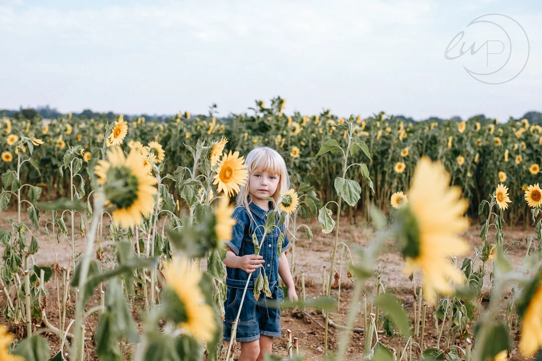 Family and child photo shoots, Essex | Sunflower field &amp; outdoor locations 