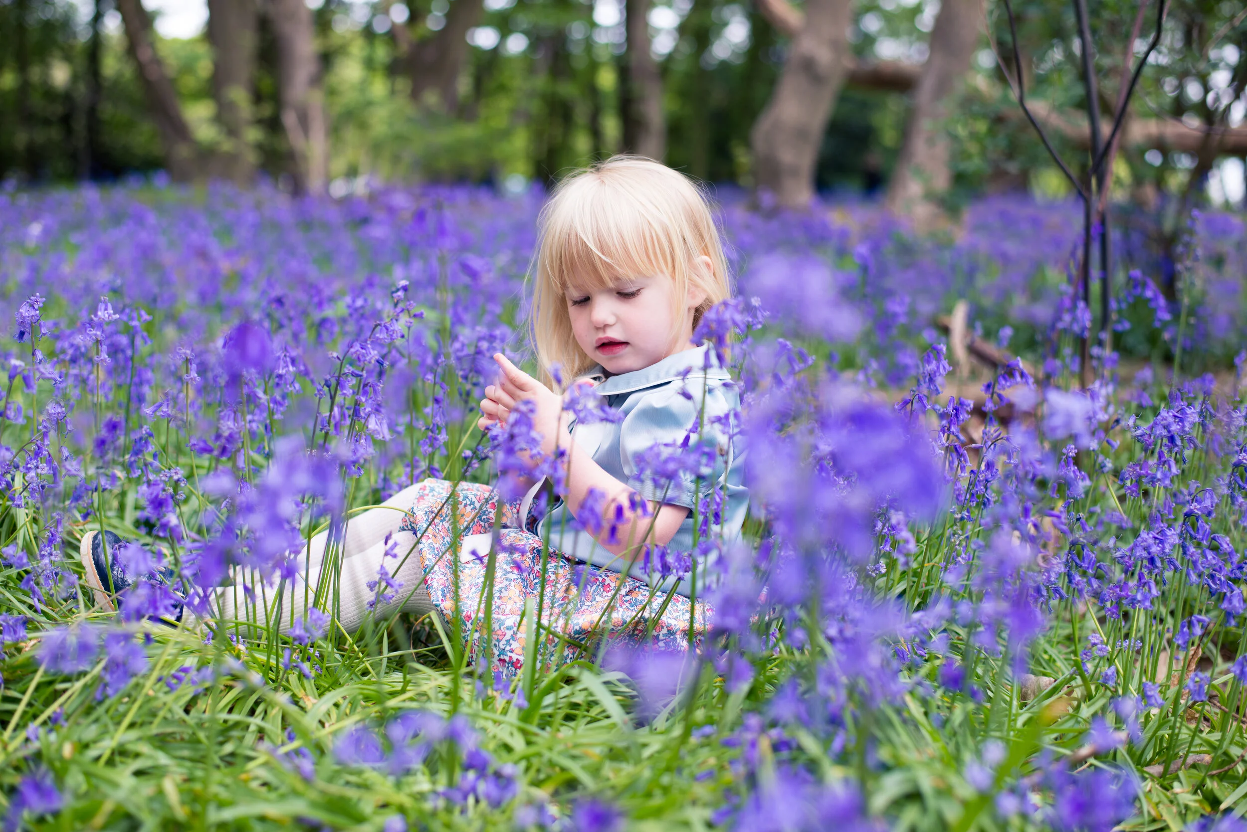 Bluebell photo shoots, Essex | Outdoor, Covid safe photography