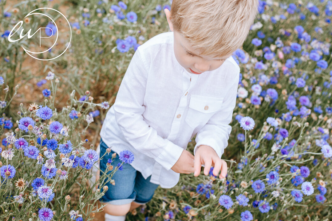 Tina60th-sunflowers-259-Edit.jpg