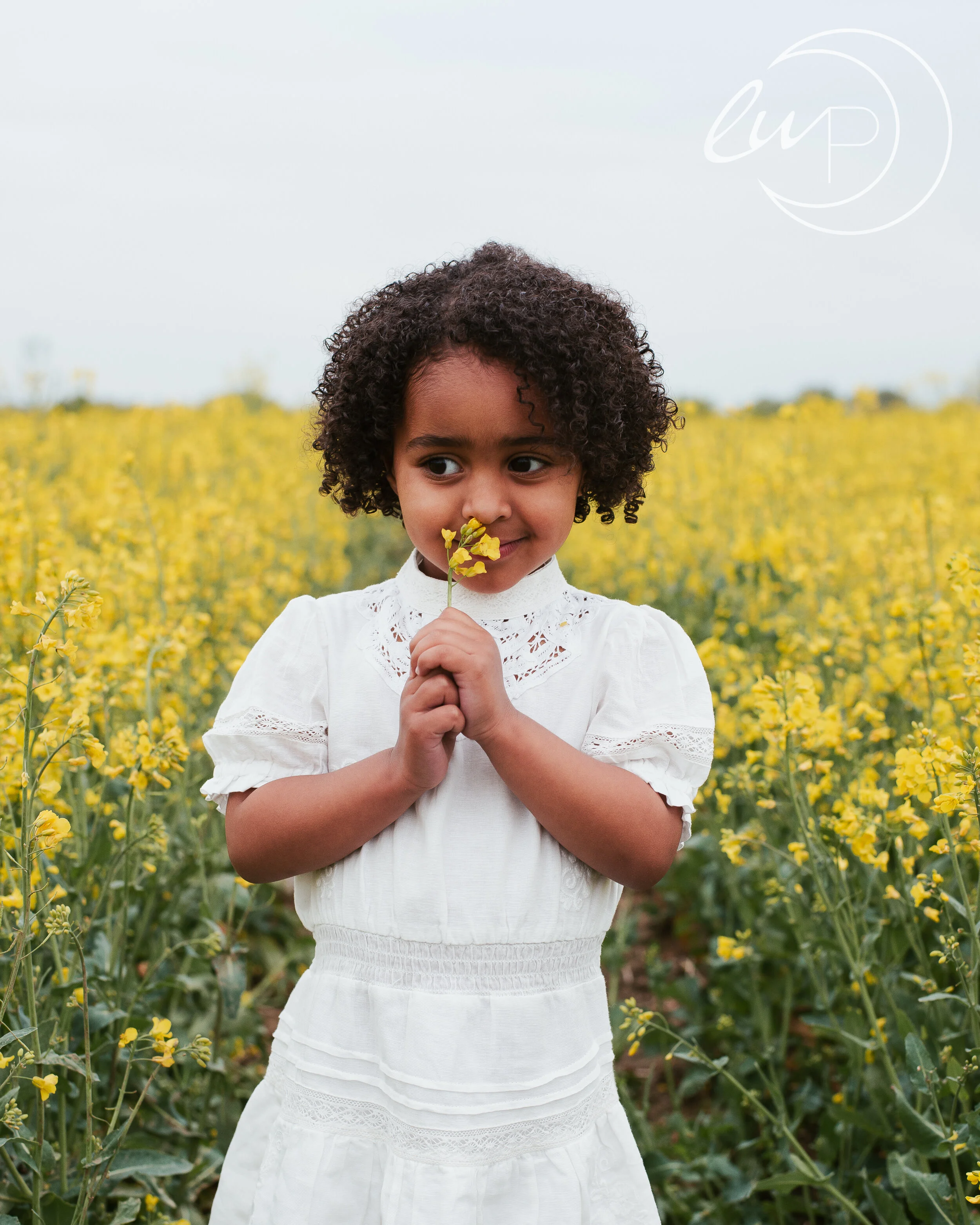 Rapeseed field photo shoot | Family photographer, Chelmsford, Essex.
