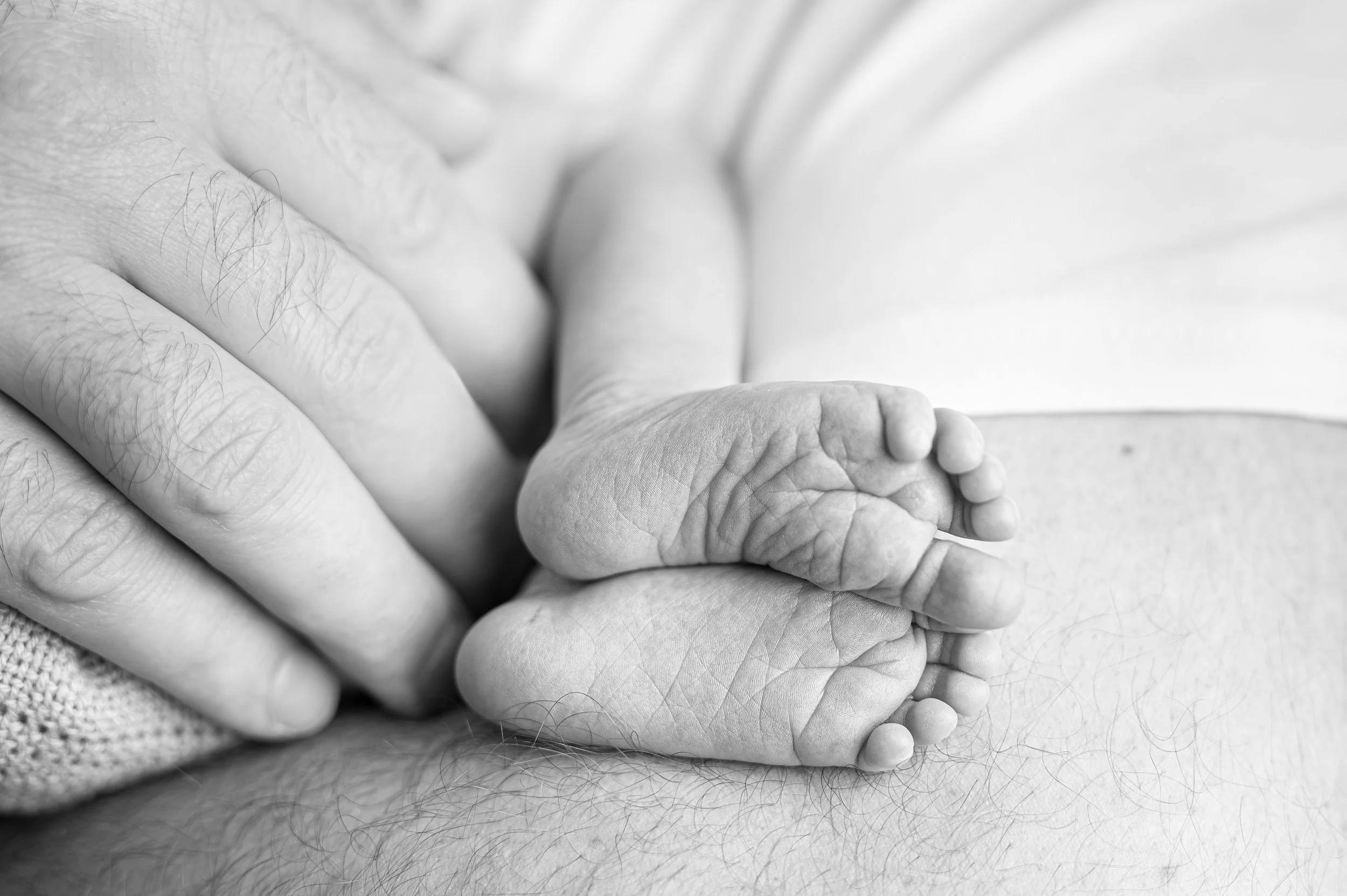 Newborn and family photo shoot in the studio - Hadleigh, Essex