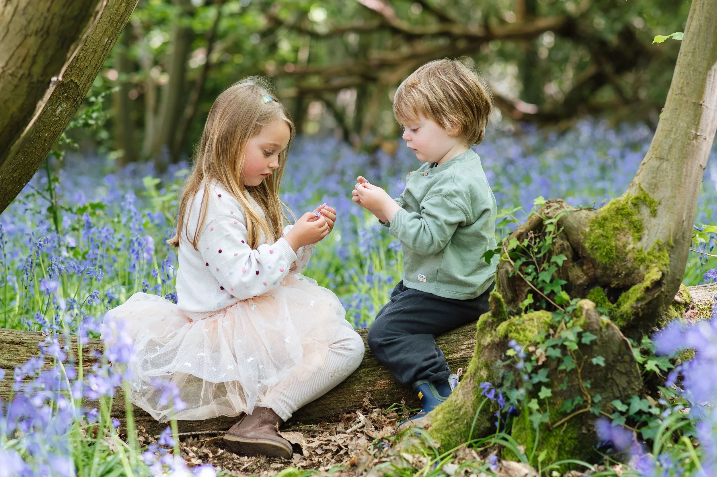 Bluebell photo shoots in Essex | Family and kids photographer
