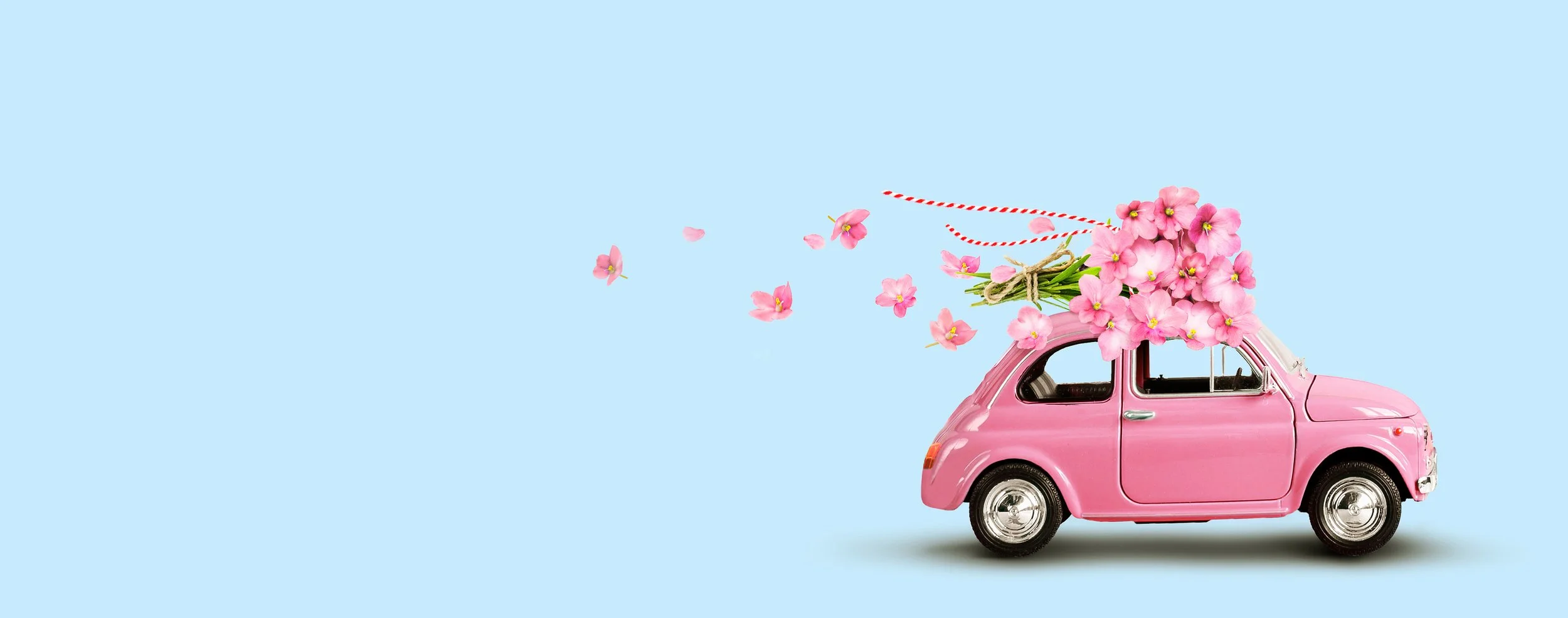 Spring is Coming! Here's How to Avoid Denting Your Vehicle