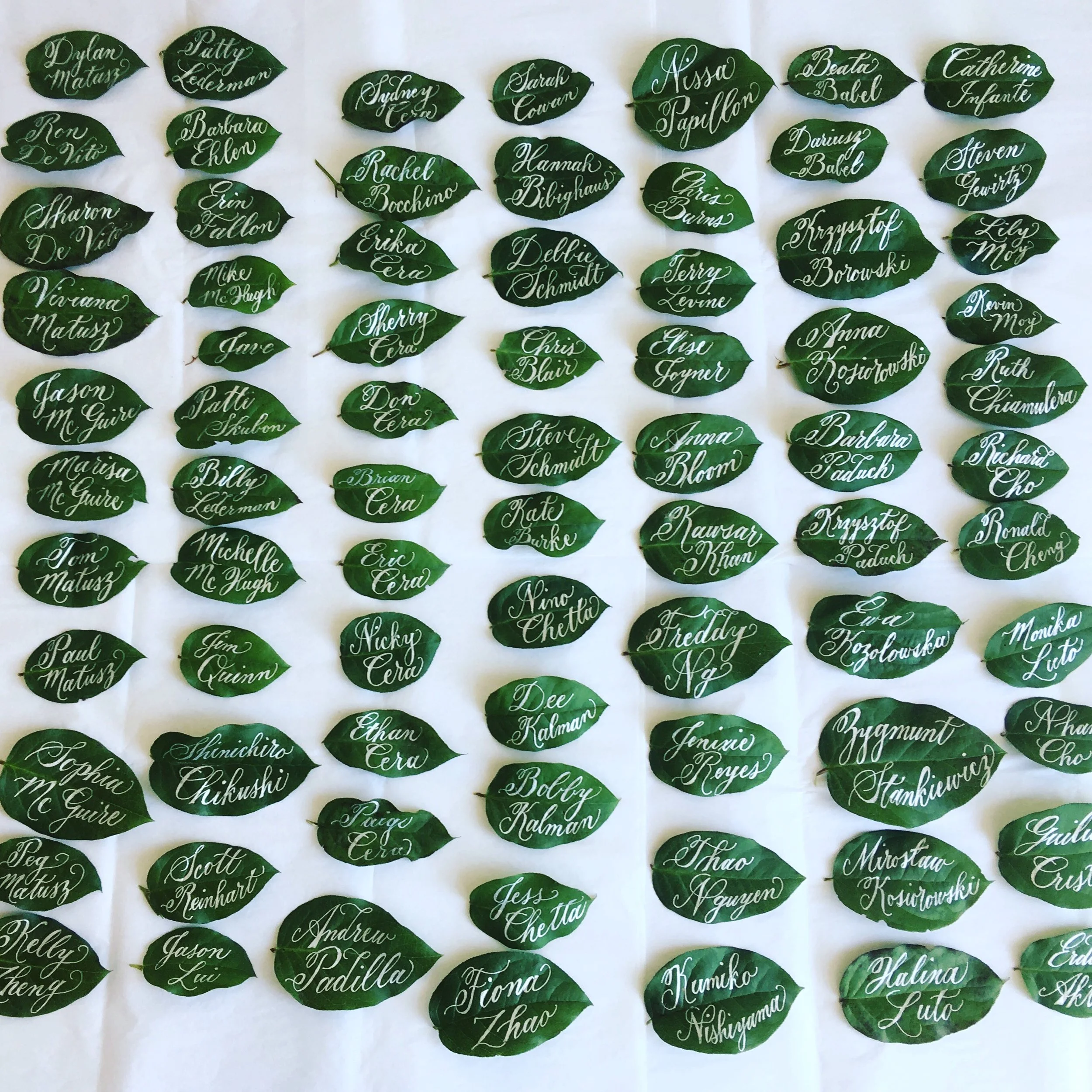 Calligraphy Place Cards