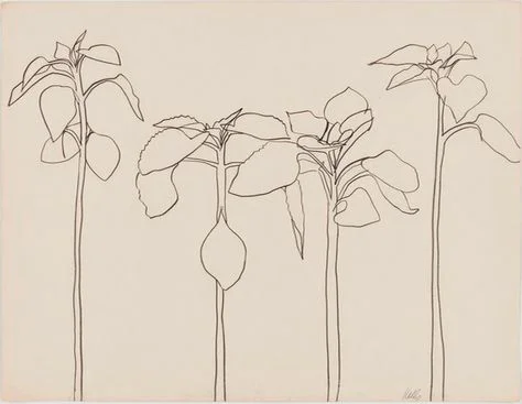 Ellsworth Kelly