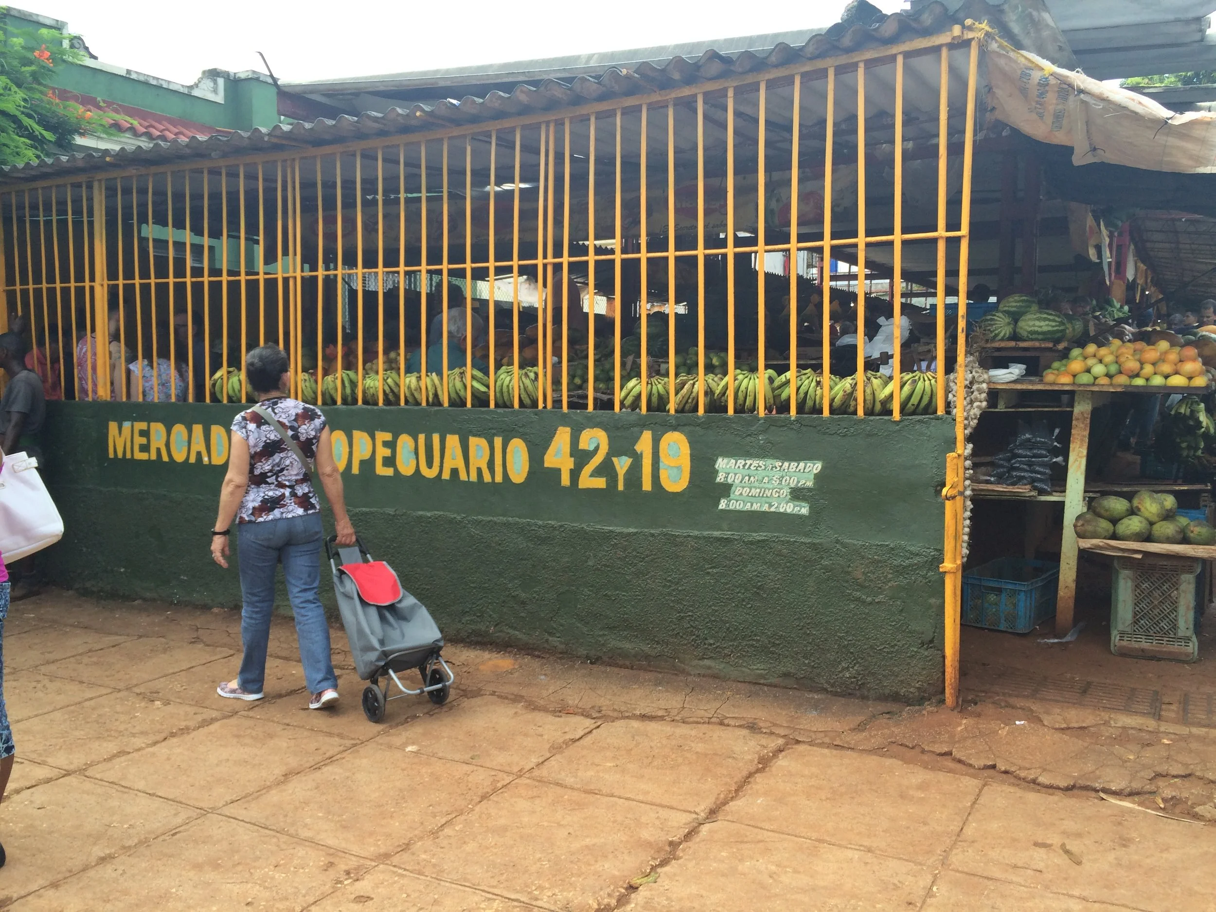 Finding the Meaning of "Local" at the Cuban Farmer's Market 
