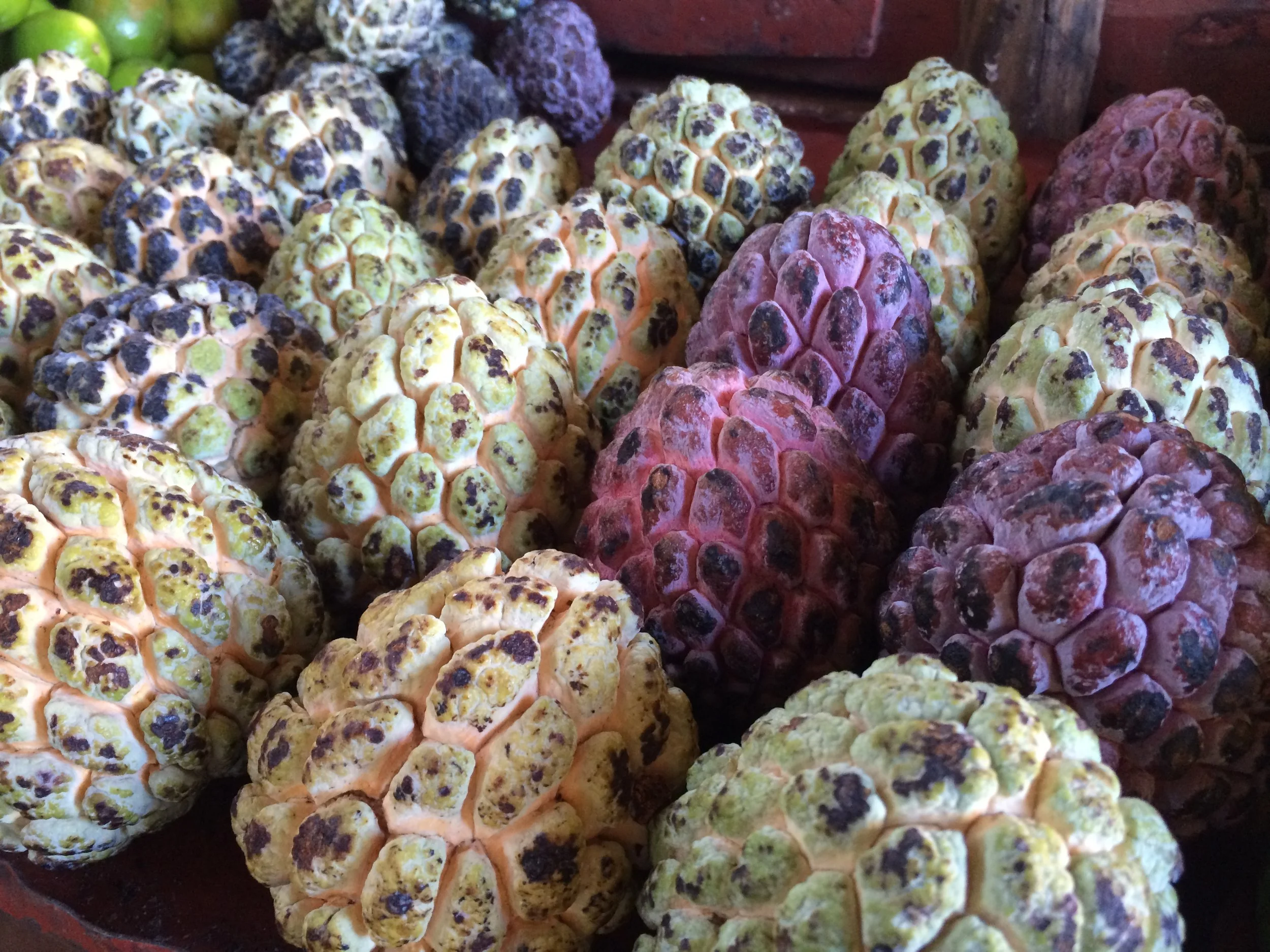 The anon, or sugar apple, is one of the exotic fruits that I've become acquainted with in Cuba. 