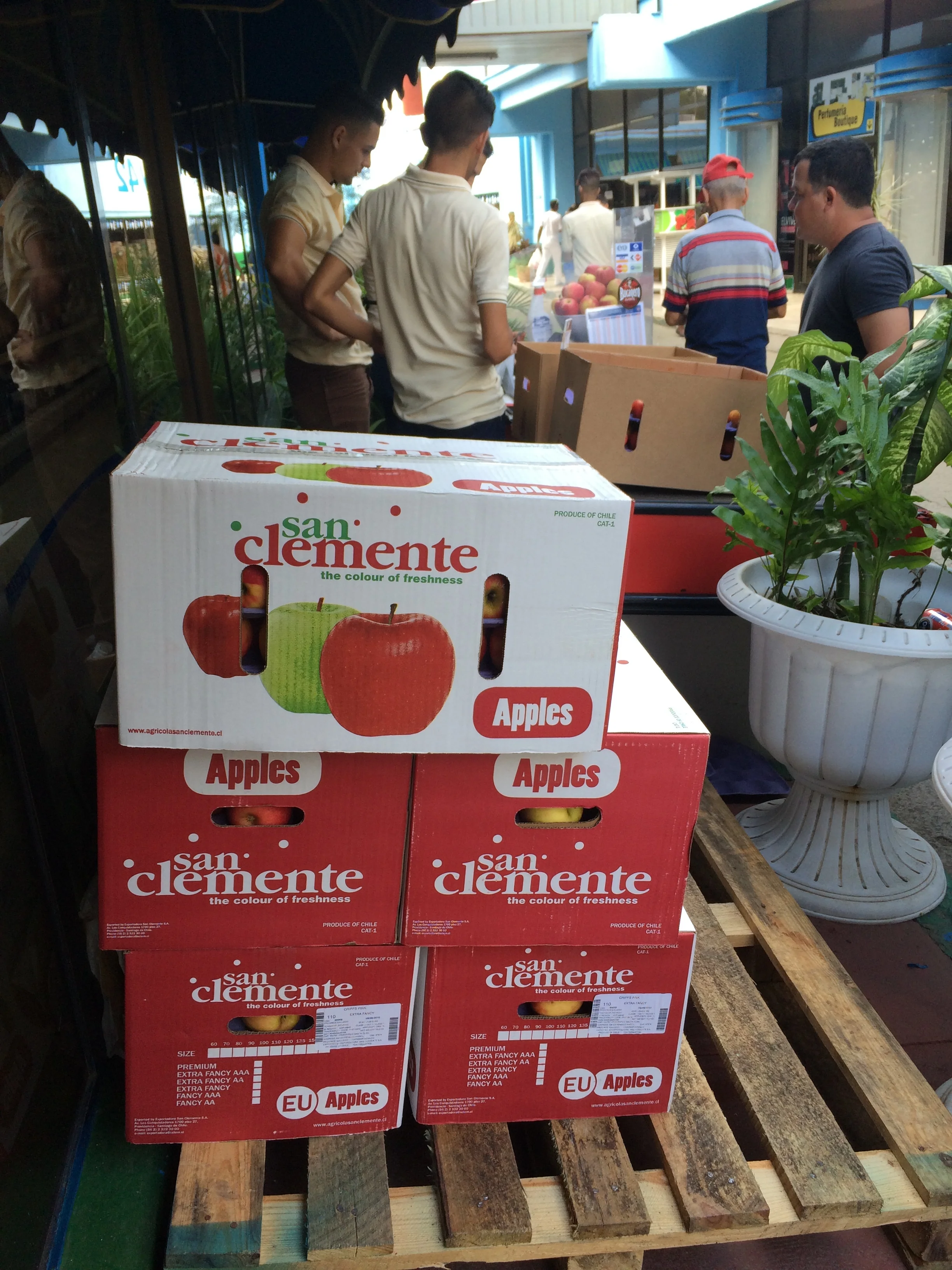 Apples! A rare sight in Cuba. 