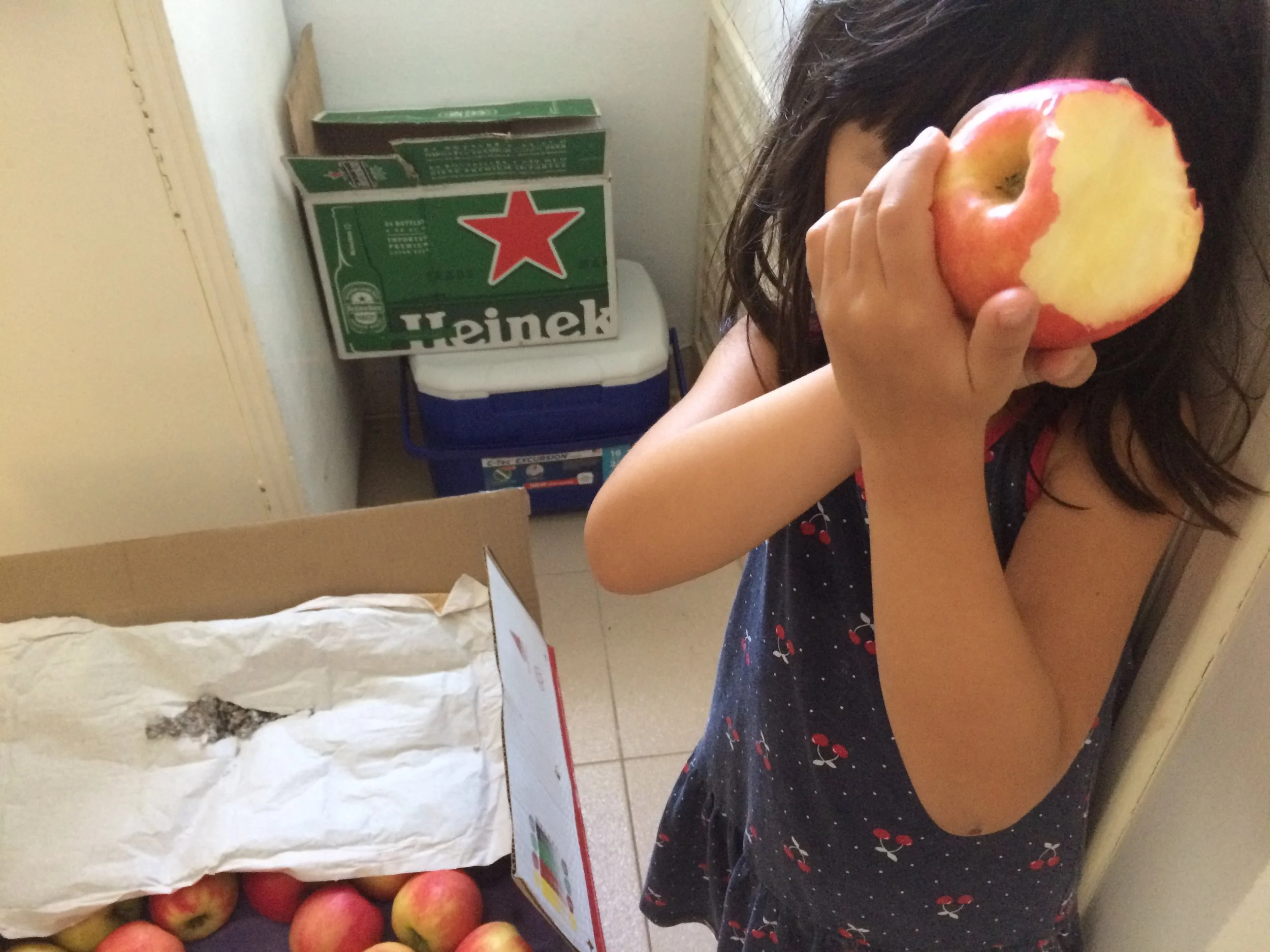 The 100 apples in our pantry. (And behind my daughter, about 100 beers.) 