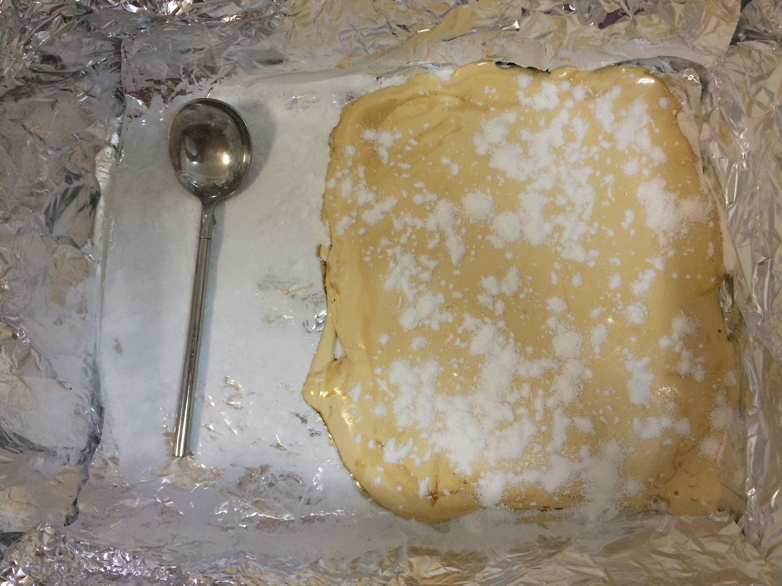 The ants didn't get to the marshmallow overnight, as I had hoped.