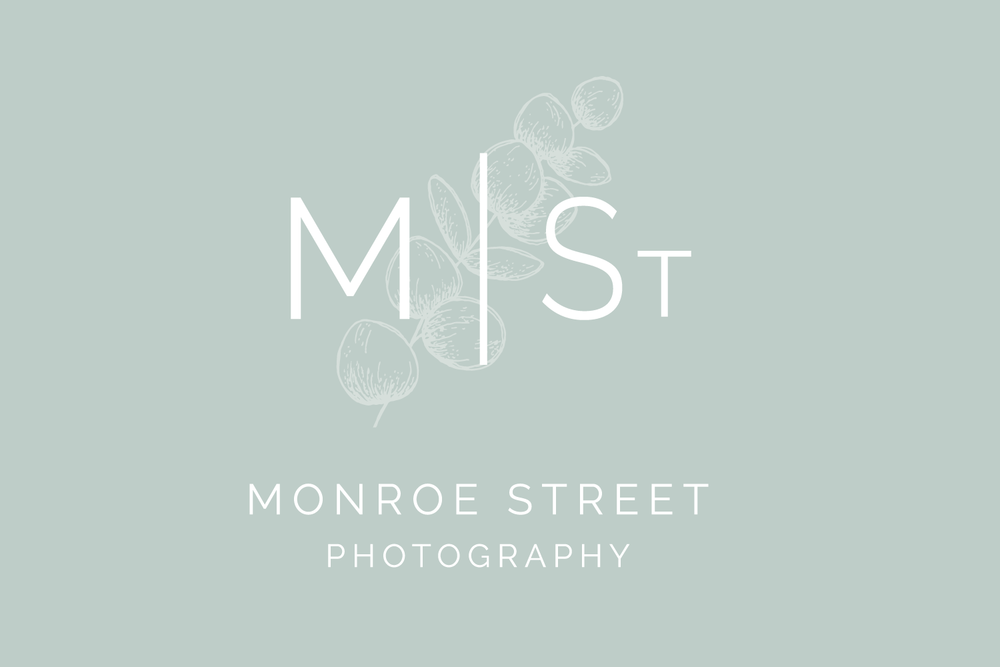 Monroe Street Photography Logo Branding Bea Bloom