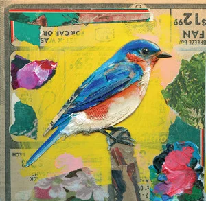 Bluebird2.jpg