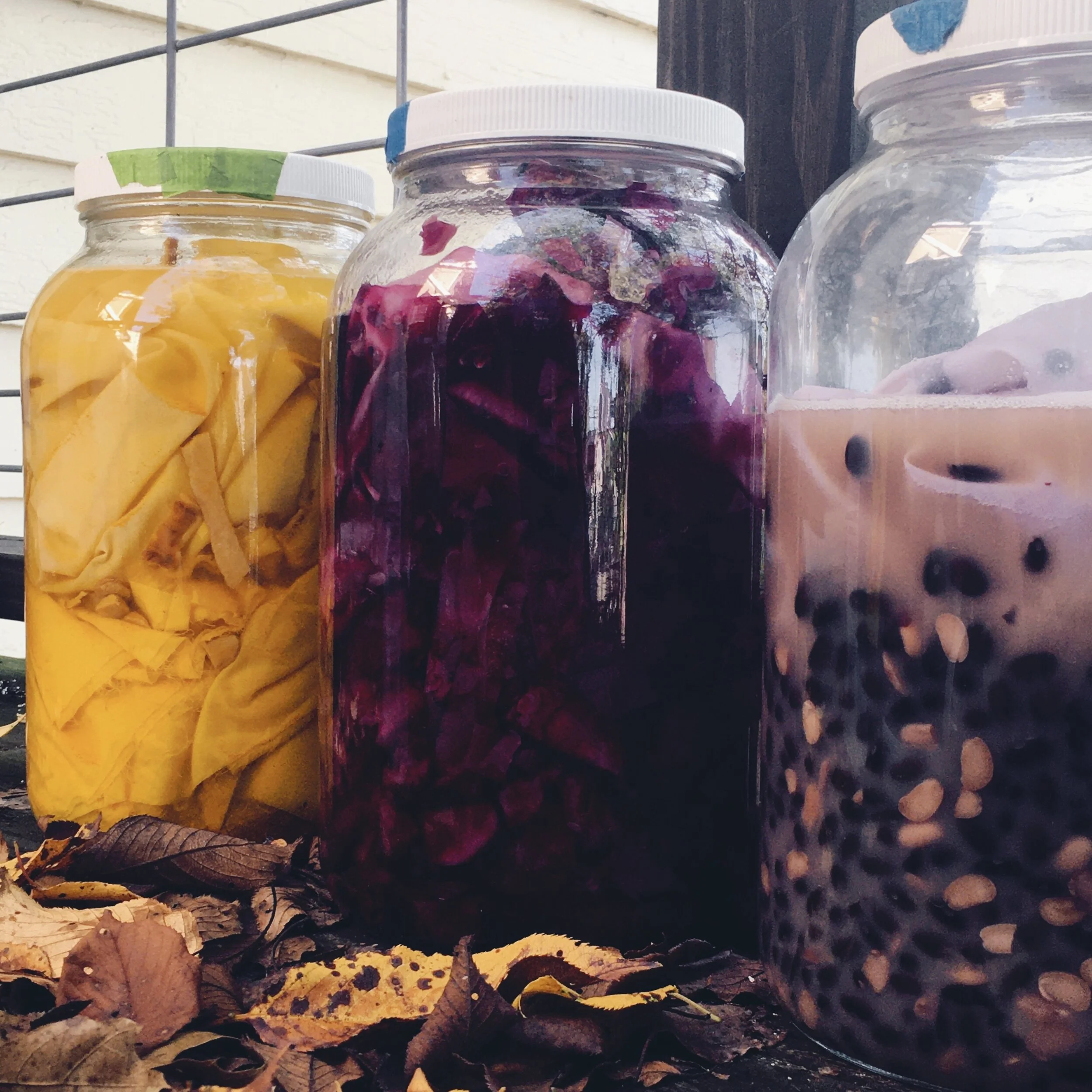 MKelley_NaturalDye_solarjar_quare.jpg