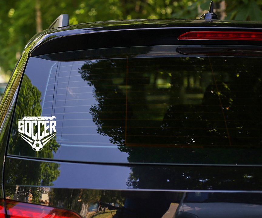 Vinyl Car Decal, D1