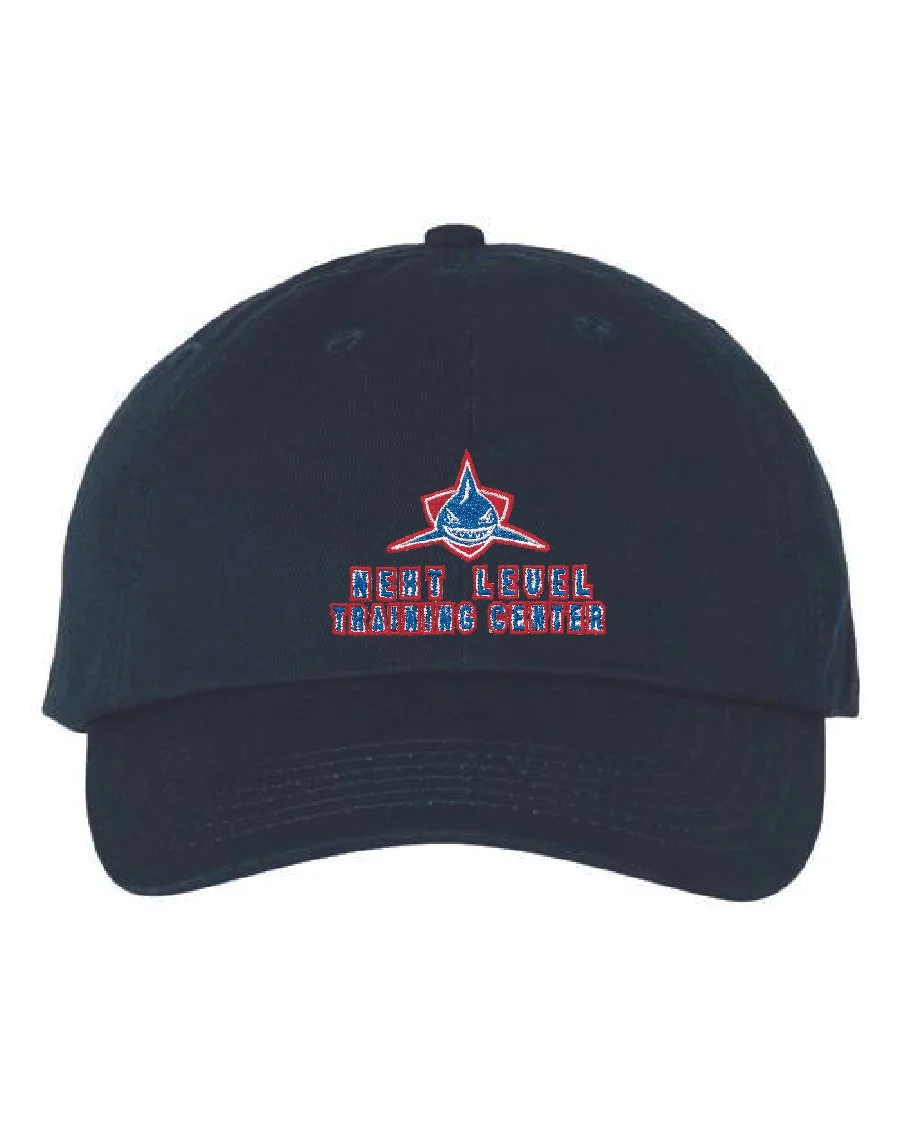 Navy Valucap Bio-washed Classic Dad Hat #VC300A