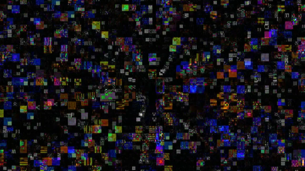 a brief interruption.jpeg