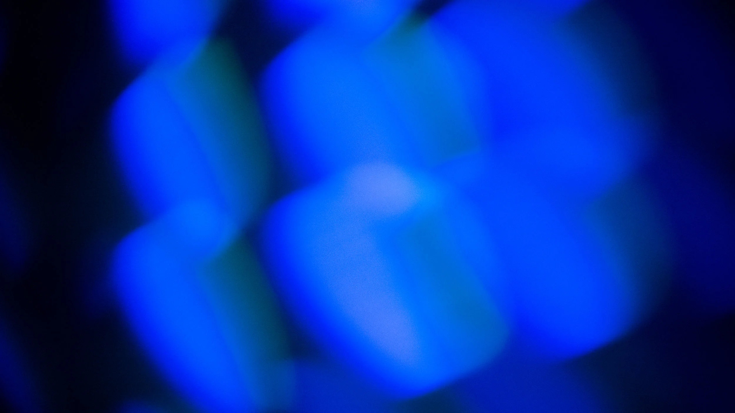 P1000319.jpg