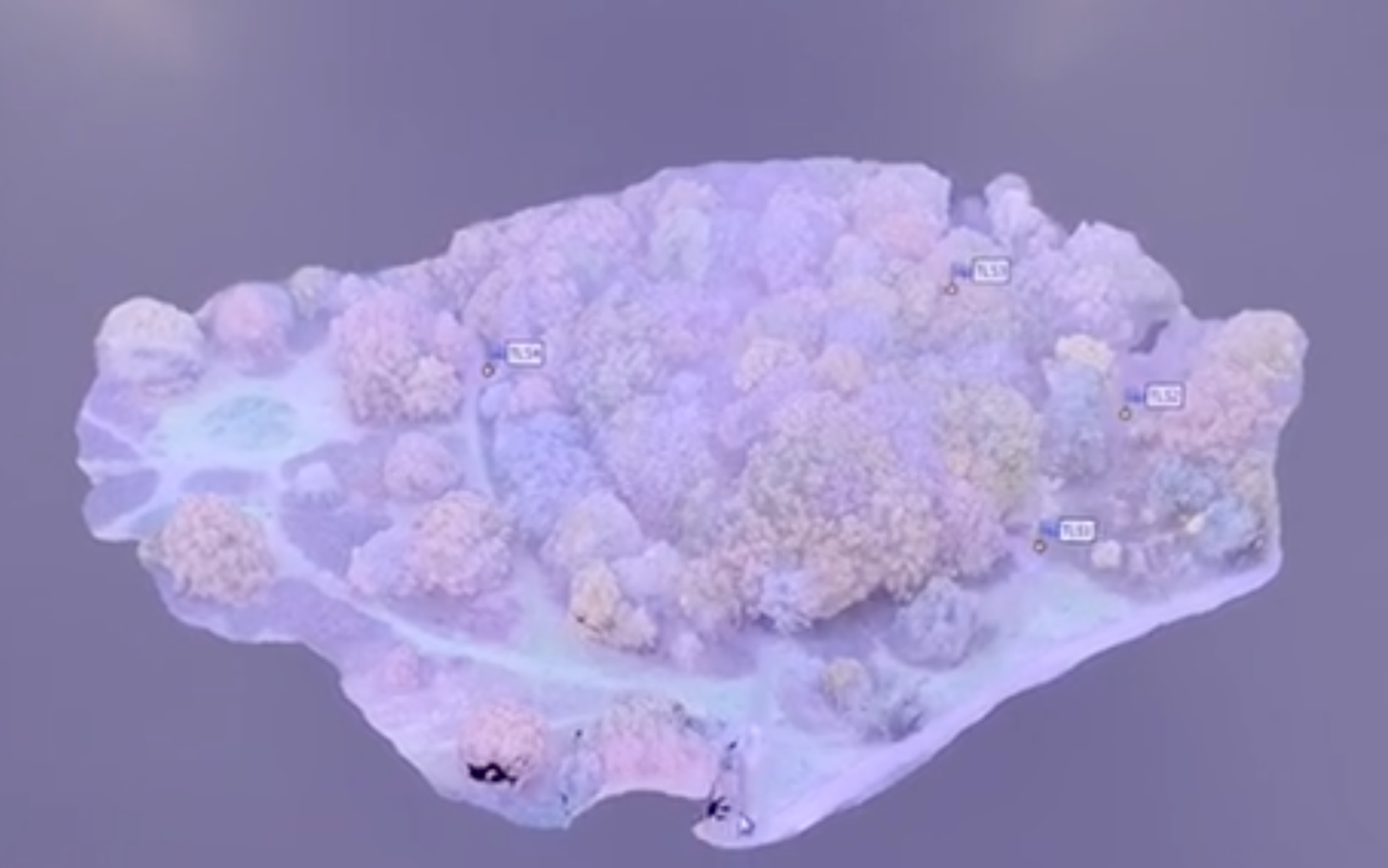 Drone Example 1_1.png