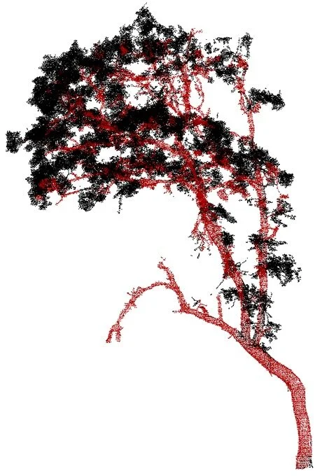 Single Tree - whatsapp.jpeg