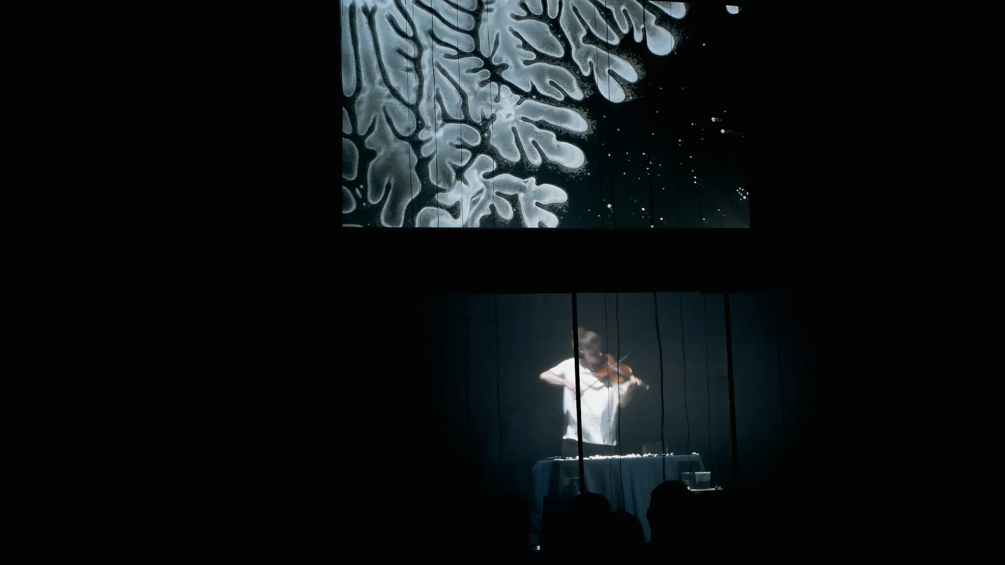 CONTACT SiyaoLi 11.jpeg