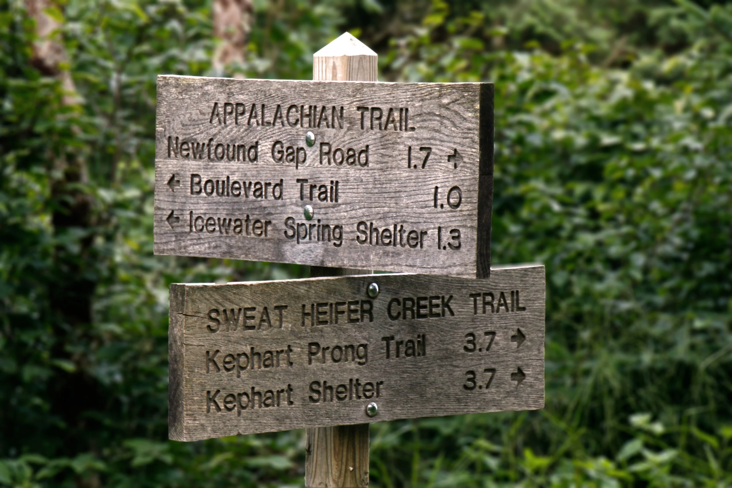 AdobeStock_24279175.jpeg