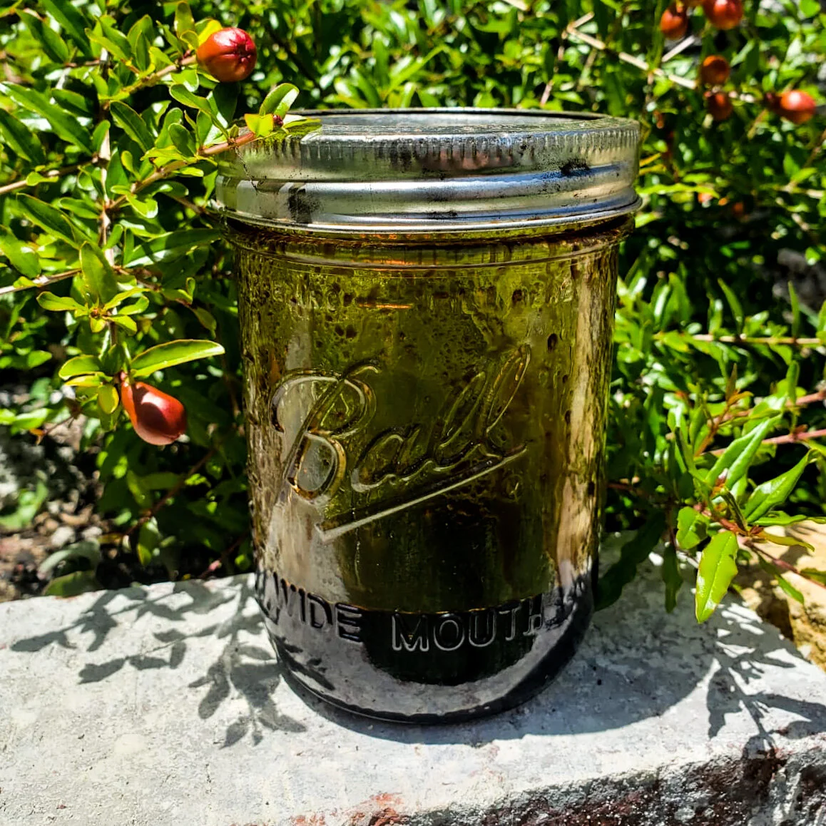 Easy Homemade Salad Dressings (3)