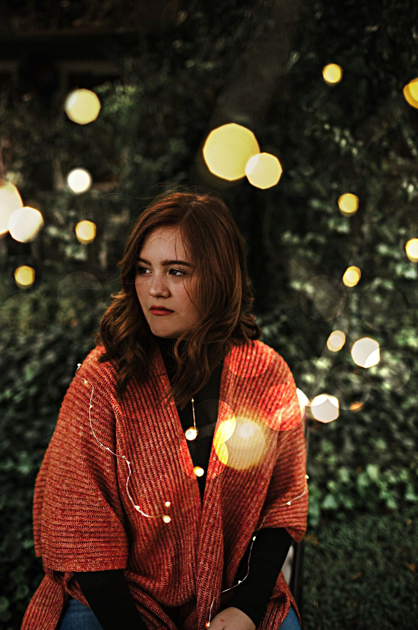 fairylights.jpg