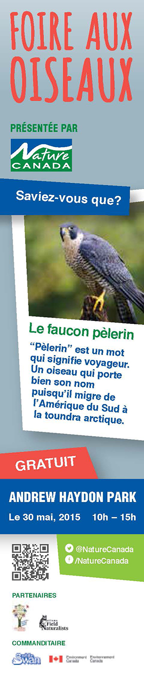 2015-03-17-BirdDayBookmark-falcon-VIEW_Page_2.jpg