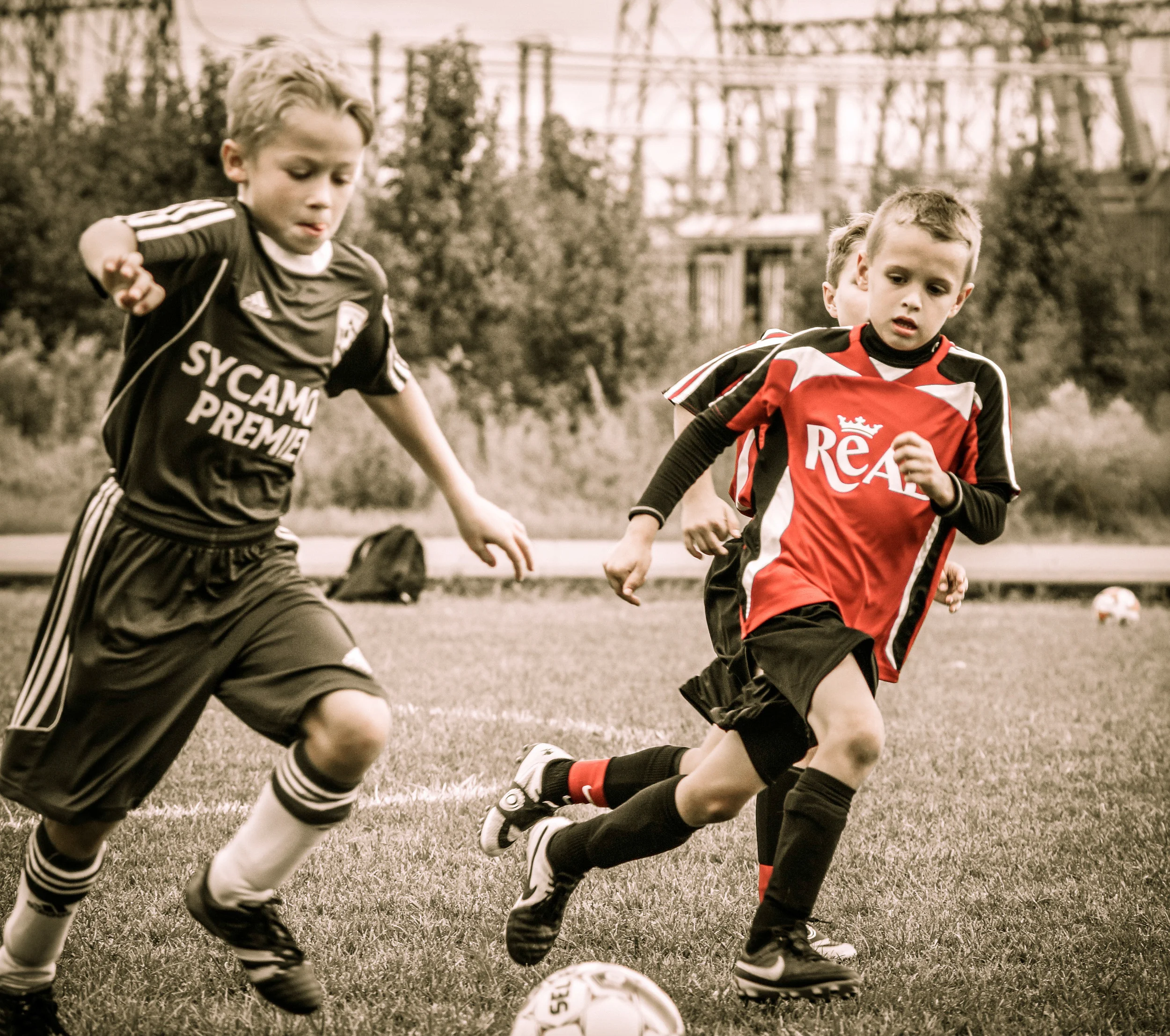 untitled (1 of 4).jpg