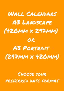 Wall A3 (2).png