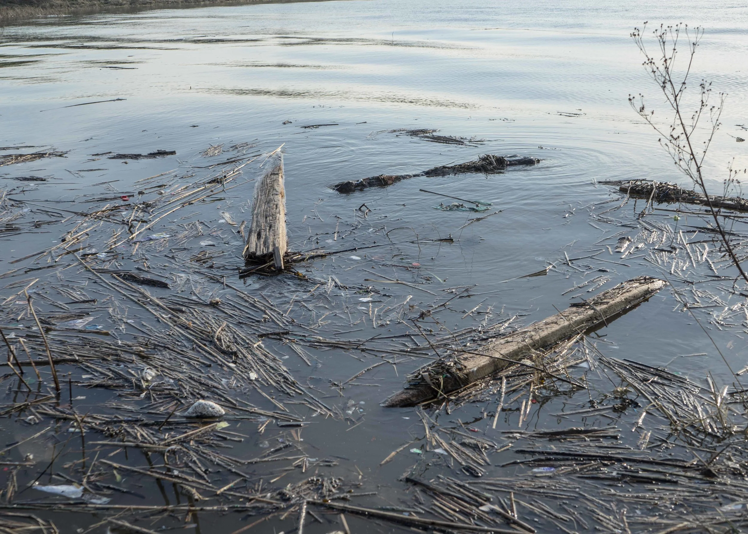 Thames Estuary Small-48.jpg