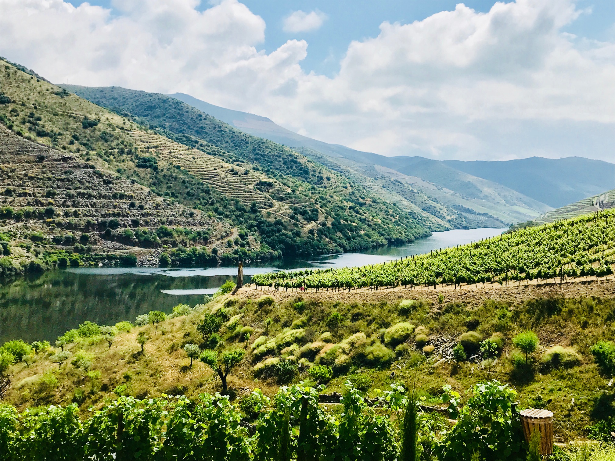 Portugal Part 6 - Douro Valley/Porto - 2018