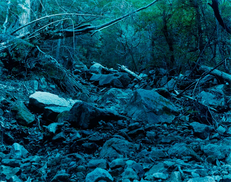 Wildness07.jpg