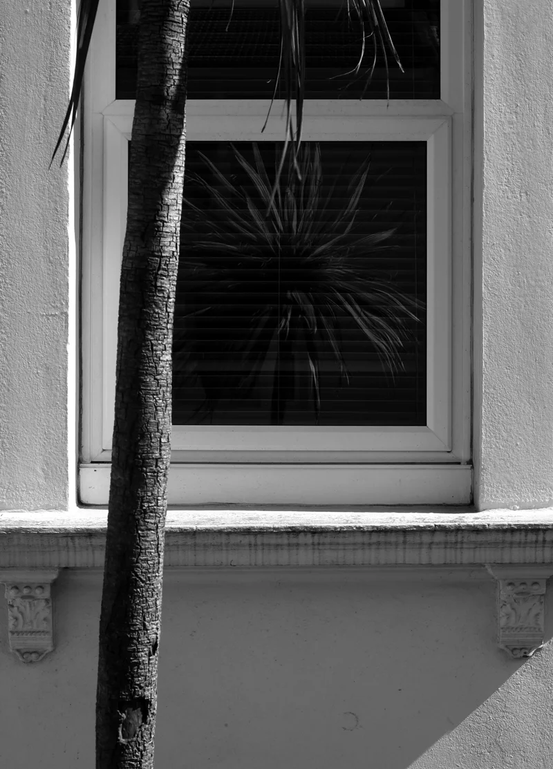 Urban-Nature-01.jpg