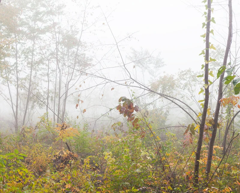 _MG_5280.jpg