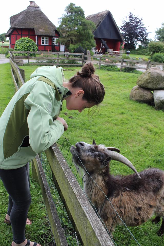 Here's a completely unrelated picture of me and a goat-friend that I made while traveling in Denmark.