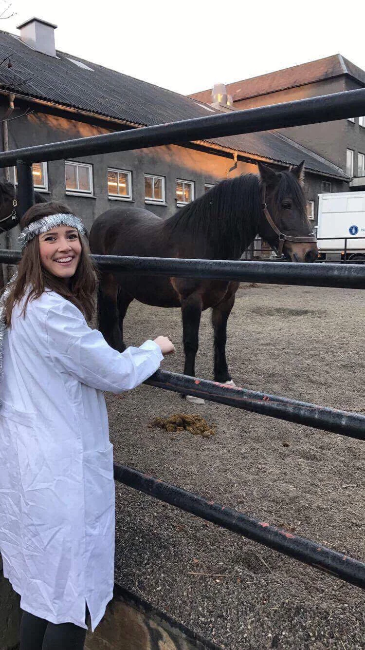 Here I am trying to pet the same stubborn horse yet again, and you can see her giving me the side-eye. Even when I'm all done up with tinsel in my hair for Saint Lucy's Day, I'm still getting rejected by that anti-social horse. (I kid, I kid, of course) 