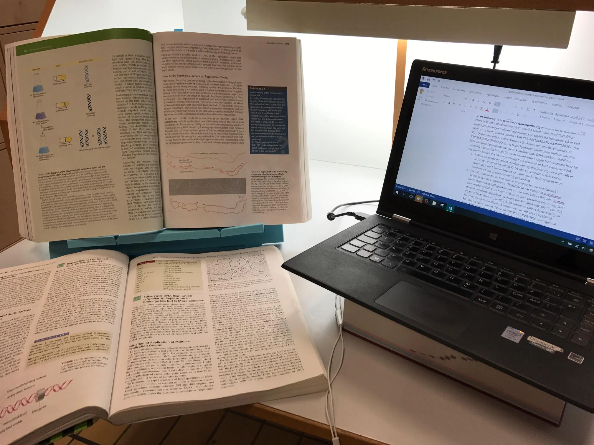 My current setup. Notice the medicinal dictionary I've used to prop up my computer to be at eye-level. Some next level tech right here.