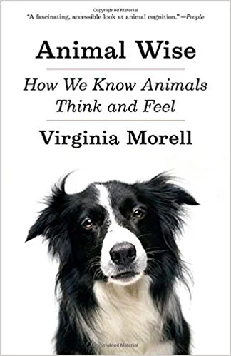 Animal wise.jpg