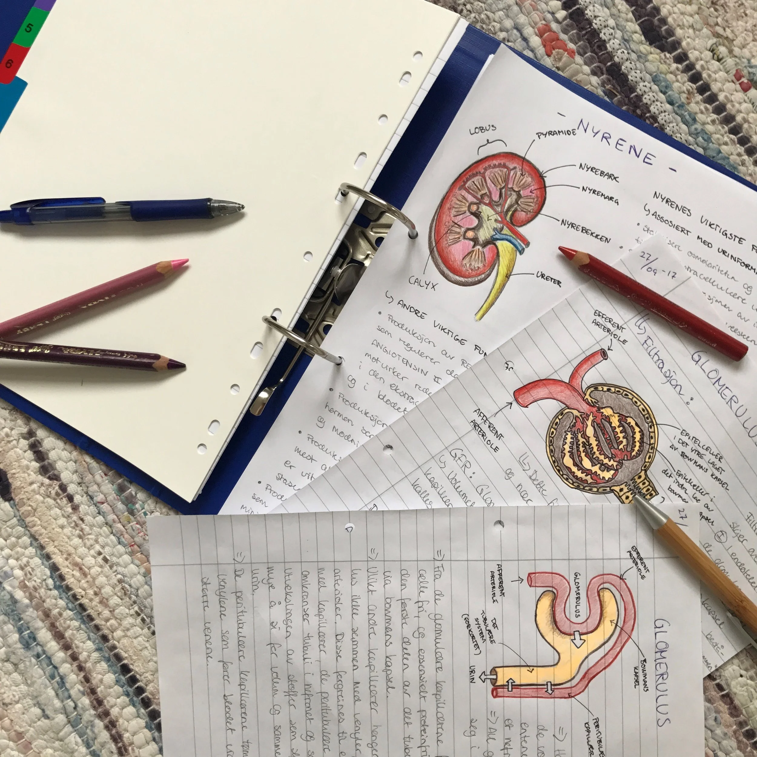 studyarea.jpg