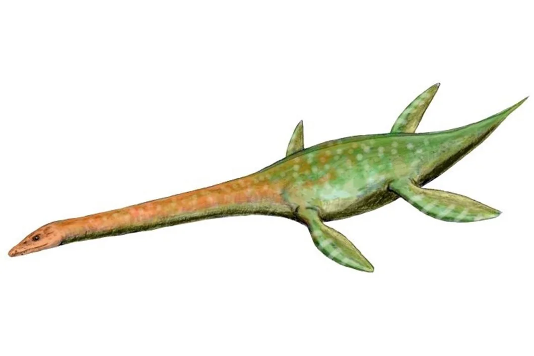 Attenborosaurus conybeari.jpg