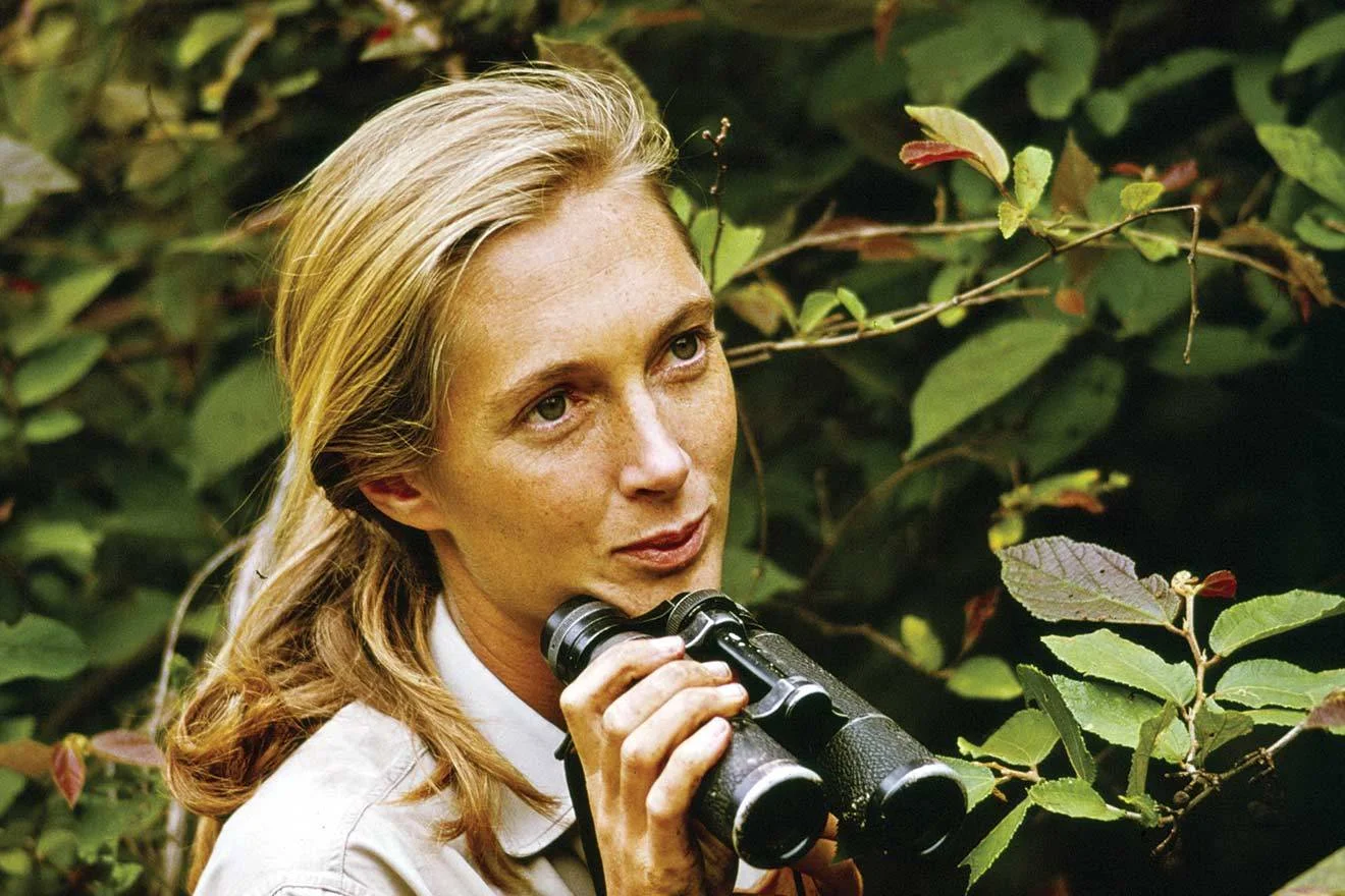 Jane Goodall 2.jpg