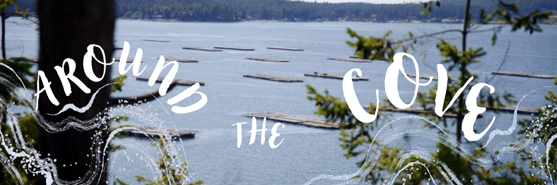 no logo PNG Around the Cove Newsletter Header.png