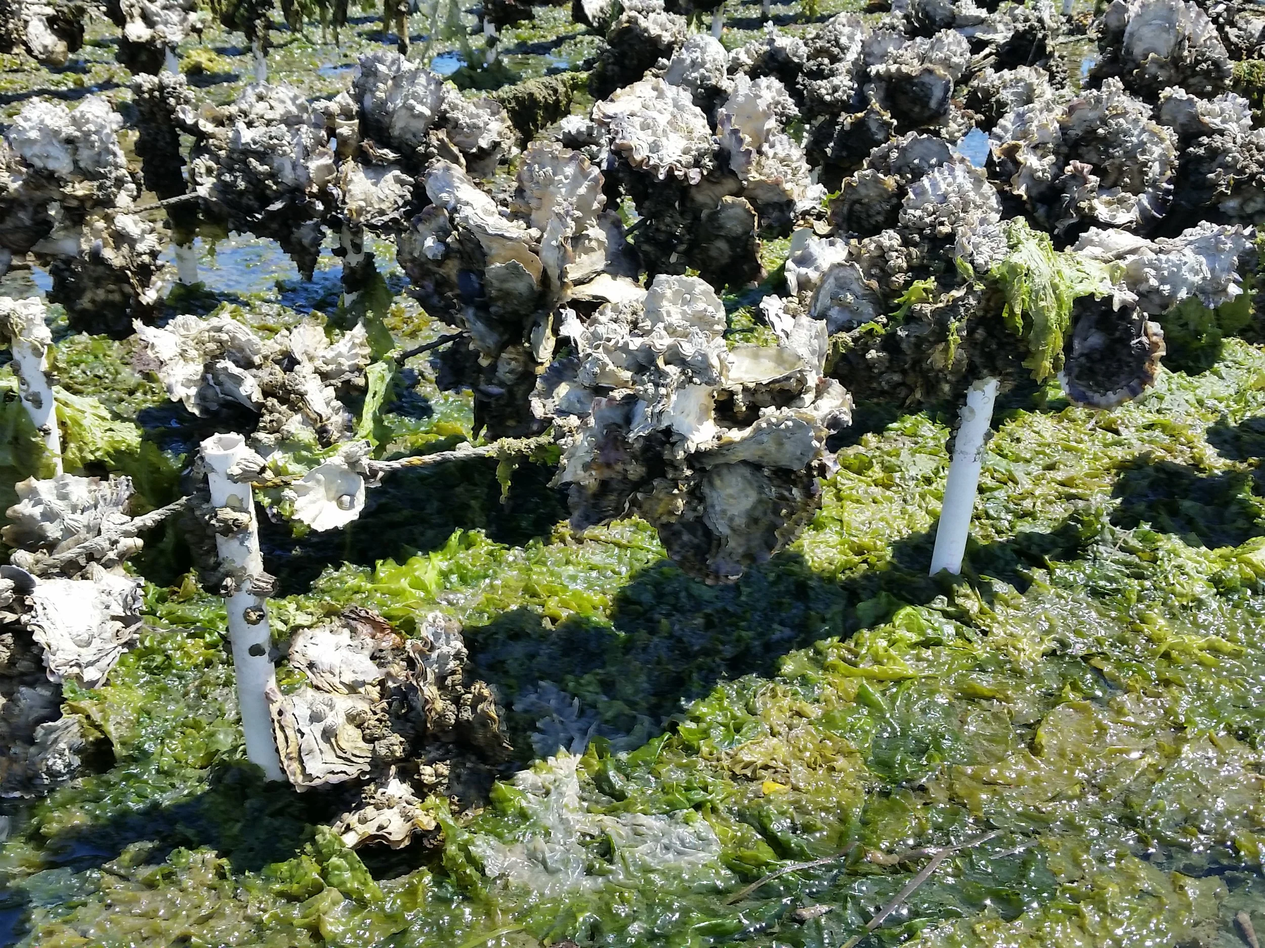 20150604_132548.jpg