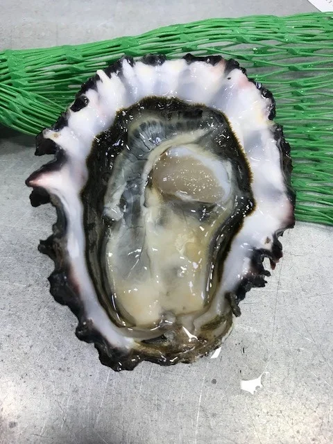 fanny bay.jpg